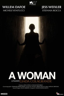 一个女人2010