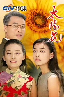 太阳花